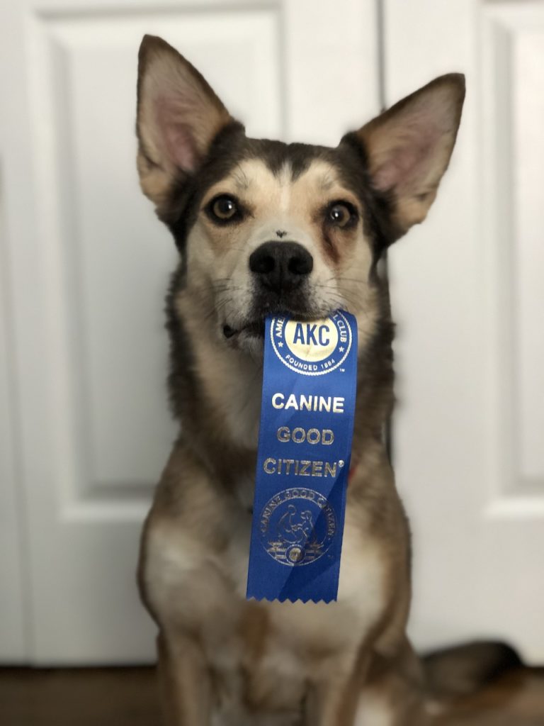 Gretta’s Dog Training