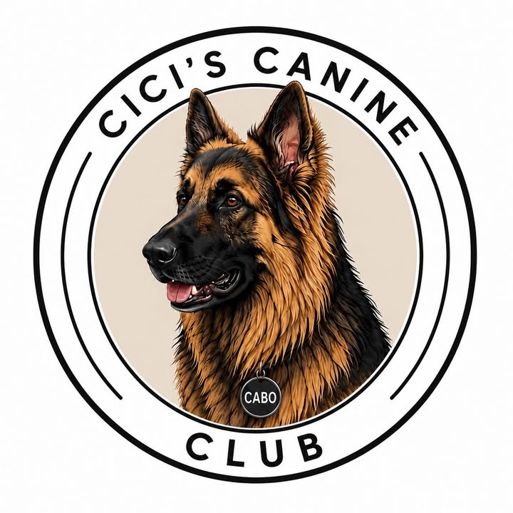 Cici’s Dog Sitting