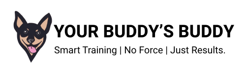 Your Buddy’s Buddy - Dog Training — dog trainer in Lynn, MA