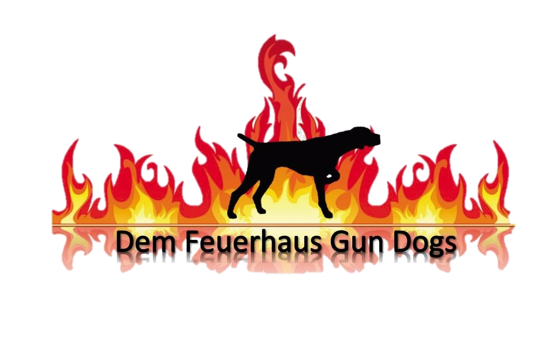 Dem Feuerhaus Gun Dogs
