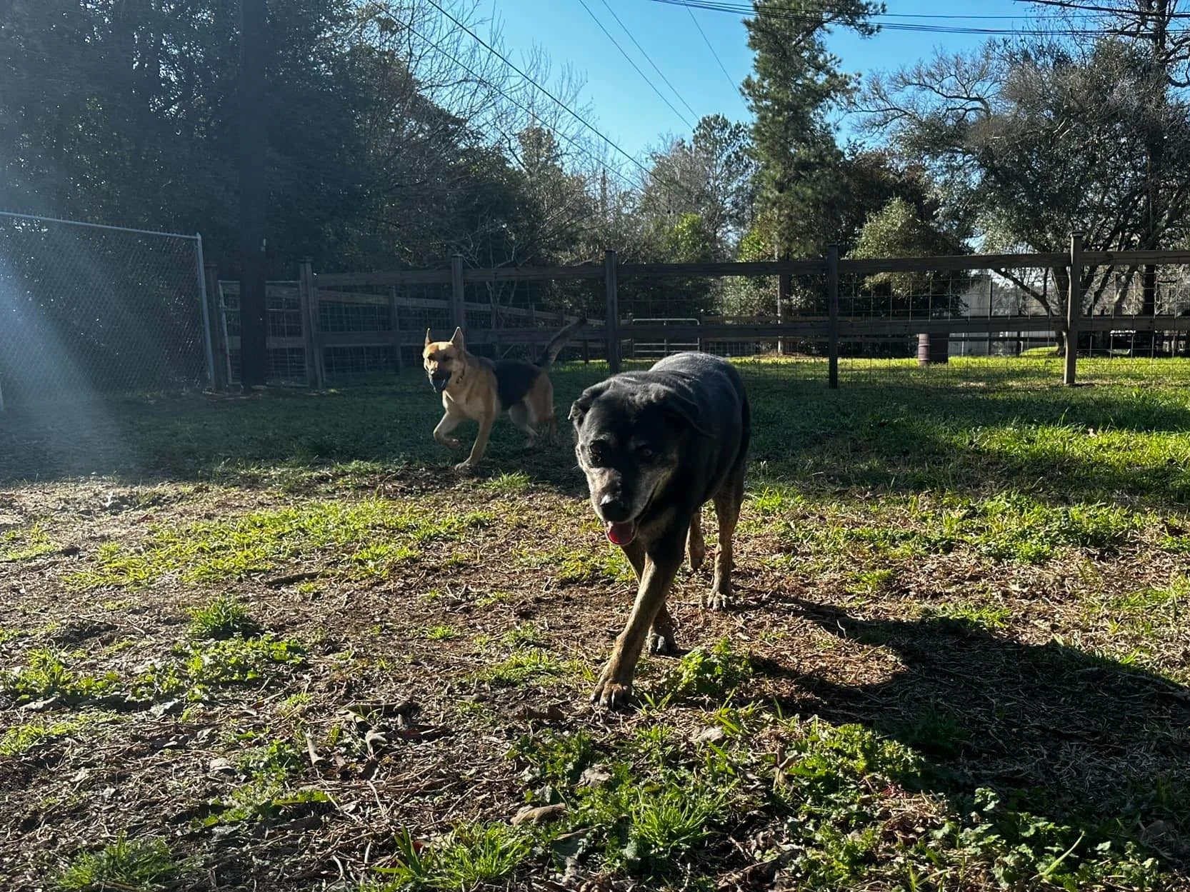 Happy Pets Playland LLC