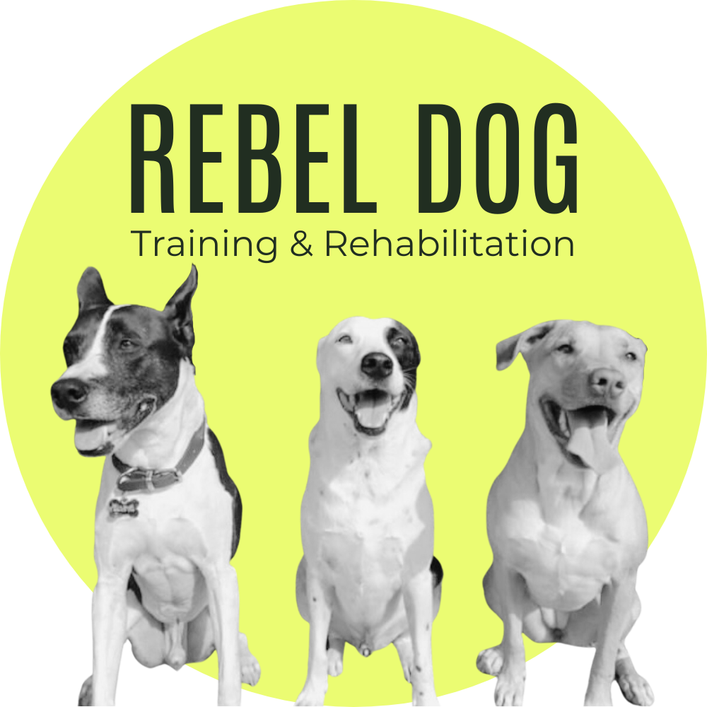 Rebel Dog Training