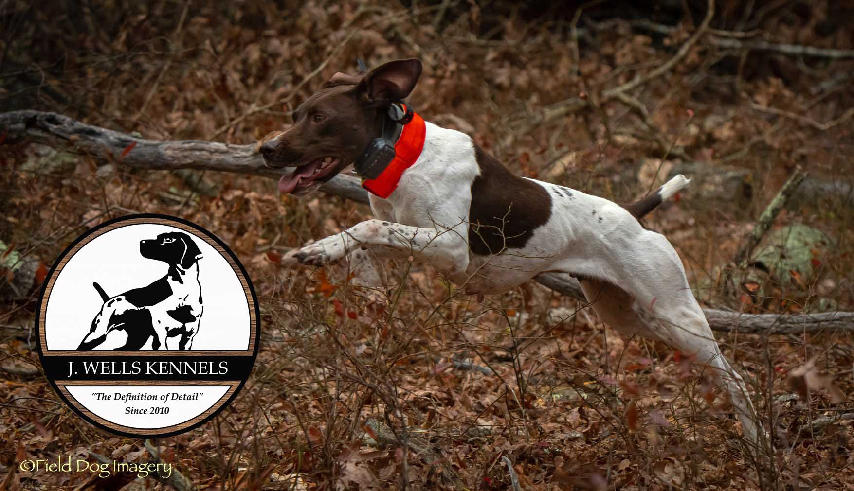 J. Wells Kennels LLC