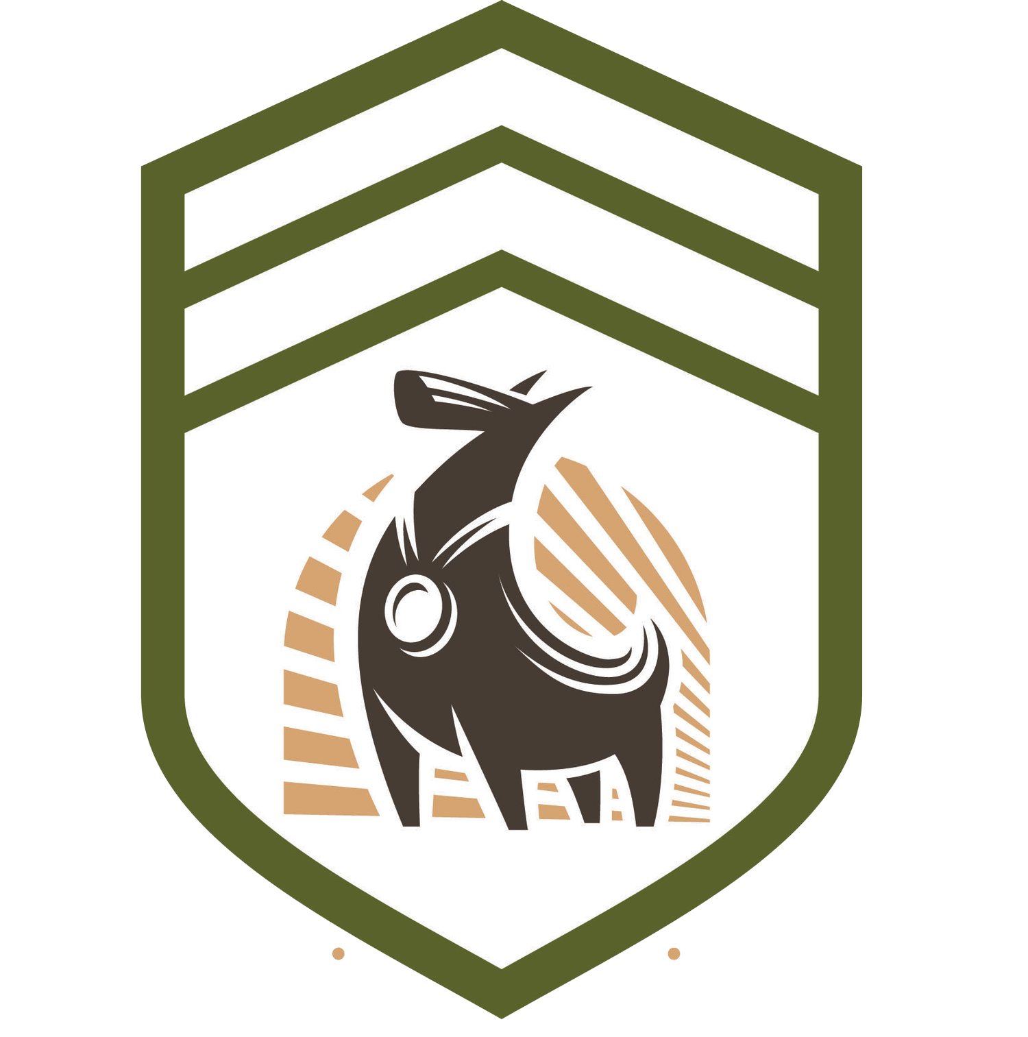 Tampa Dog Bootcamp logo