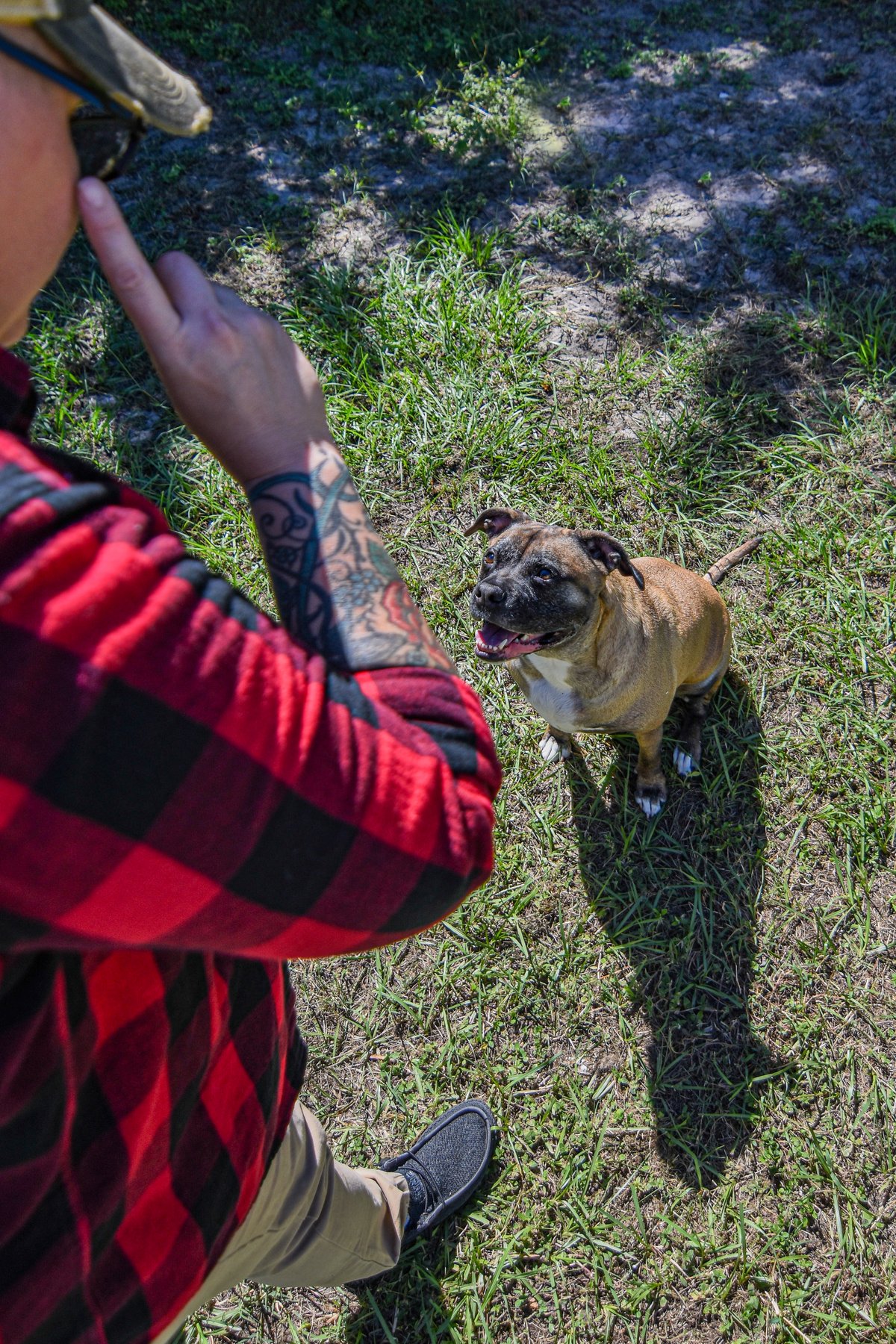 Bo’s Pawsitive K9 Services