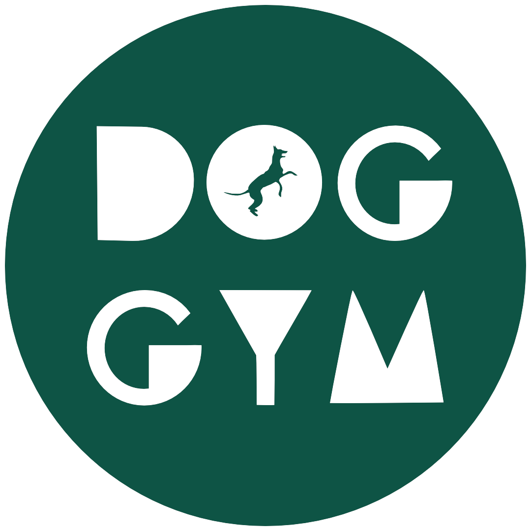 DOG GYM — dog trainer in Santa Barbara, CA