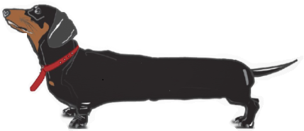 Vero Dog Hero logo
