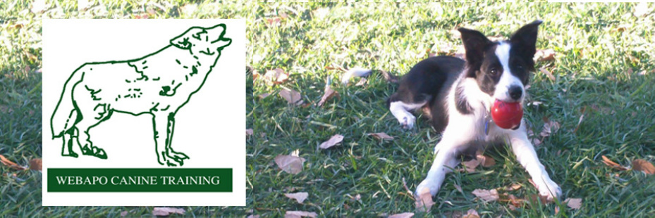 Webapo Canine Training