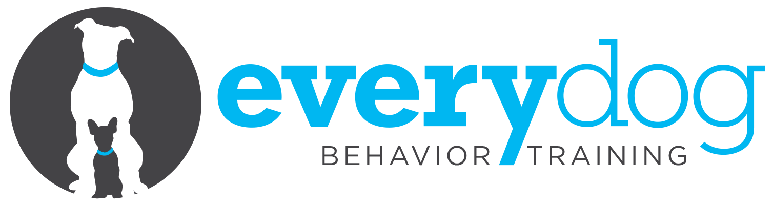 Every Dog Behavior and Training (North) — dog trainer in Austin, TX