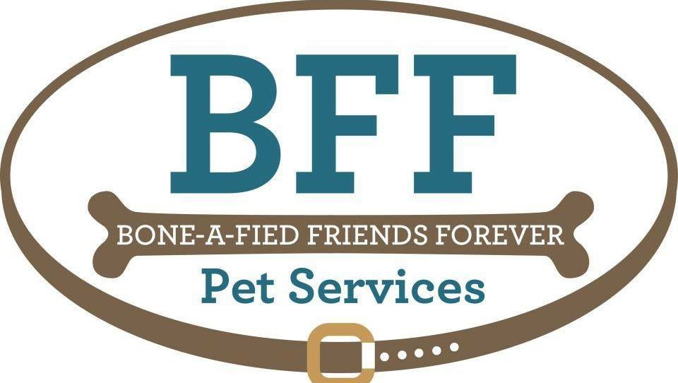 BFF Pet Services - Southern Maryland Dog Training & Sport — dog trainer in Waldorf, MD
