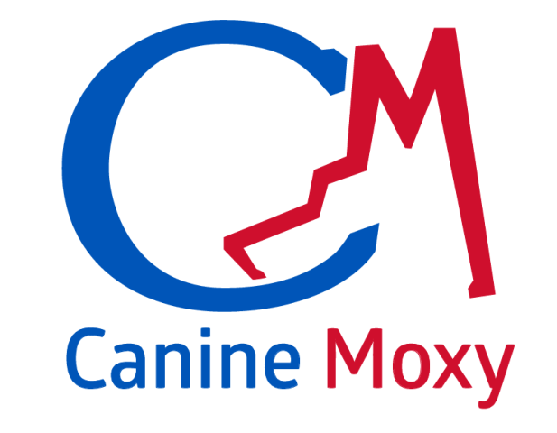 Canine Moxy — dog trainer in San Marcos, TX