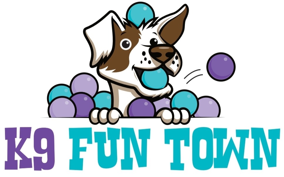 K9 Fun Town LLC