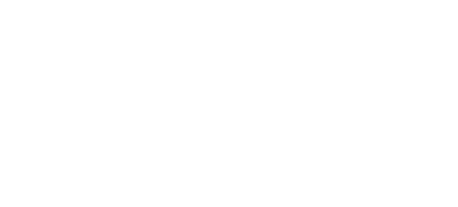 Fetch the Leash! Dog Behavior & Training