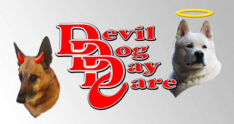 Devil Dog Day Care