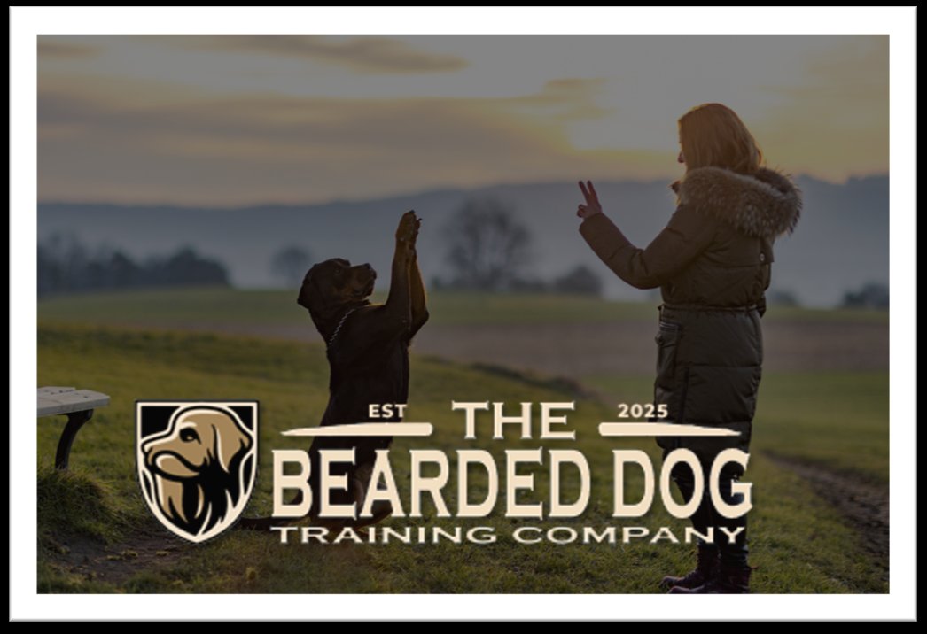 The Bearded Dog Training Company LLC