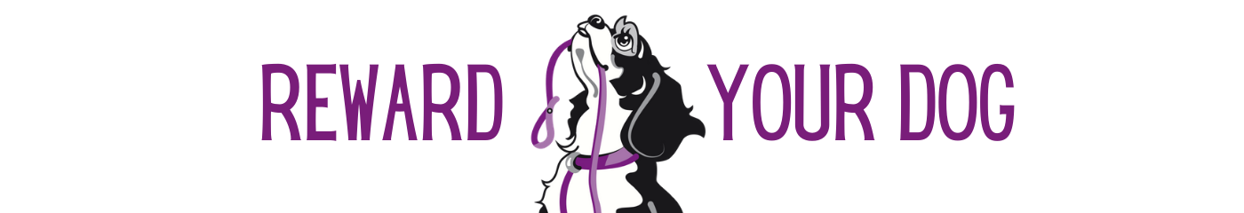 Foley's Dog Training — dog trainer in Silver Spring, MD