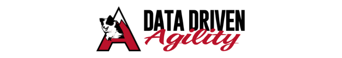 Data Driven Agility logo