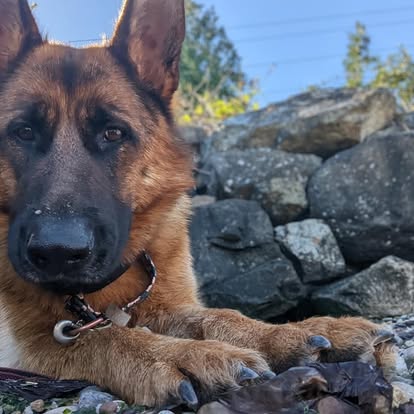 Training with Patience