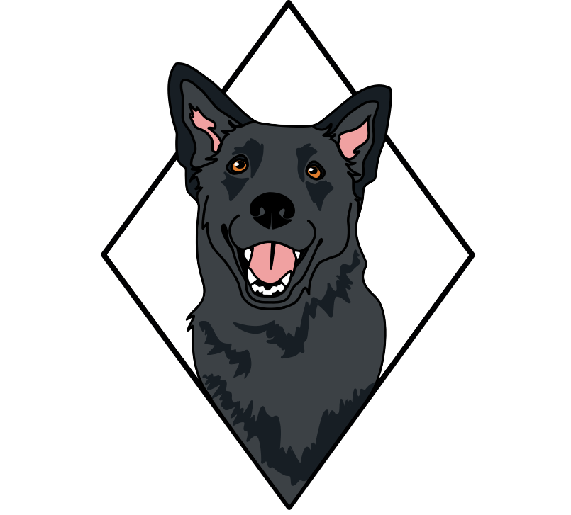 Black Jack Dog Training