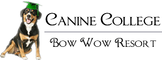 Canine College, Bow Wow Resort logo