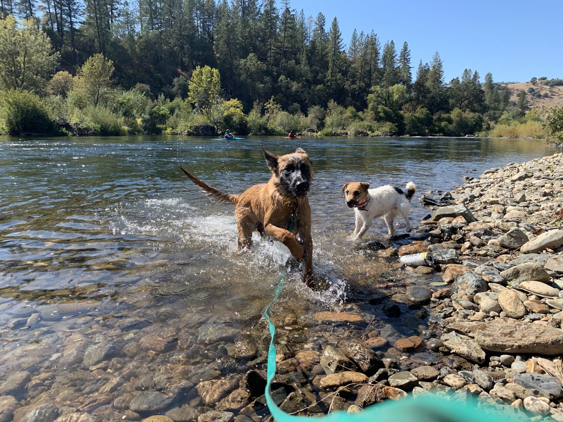 Warner K9