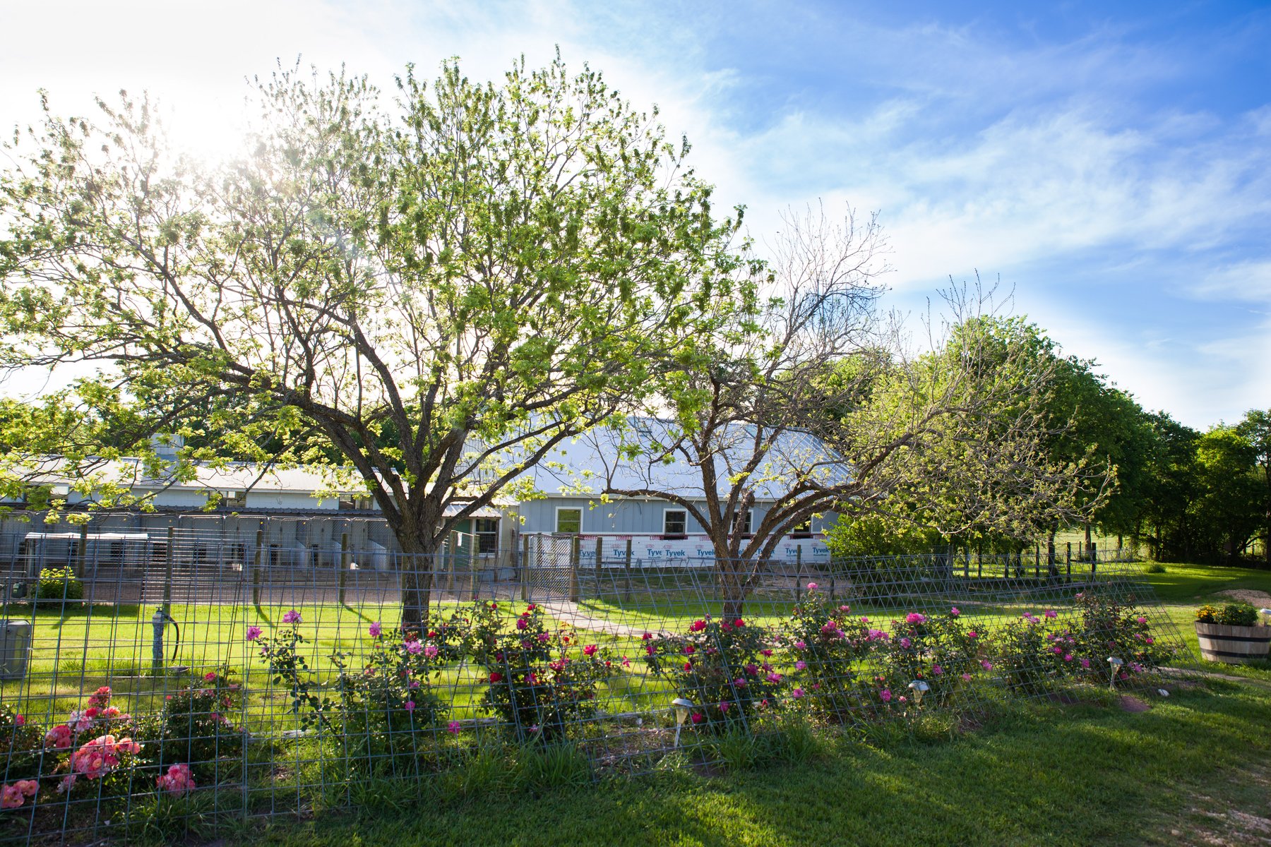 Big Oaks Kennel & Dog Park Co.