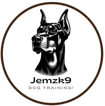 JemzK9 Training — dog trainer in San Rafael, CA