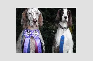 My Dog’s Place LLC