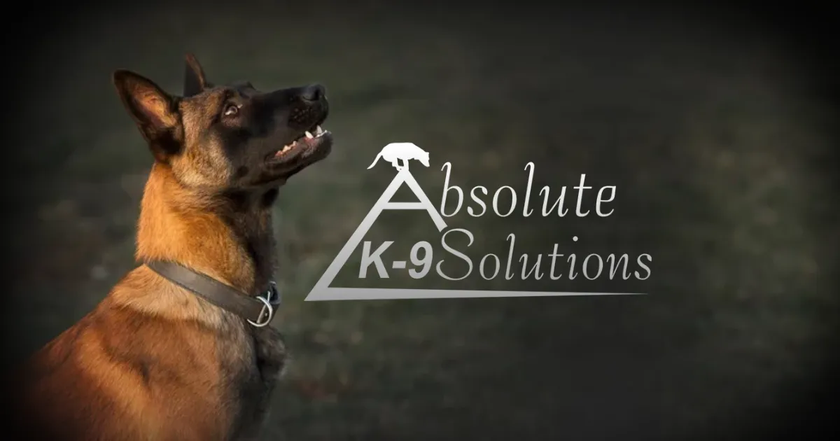 Absolute K-9 Solutions