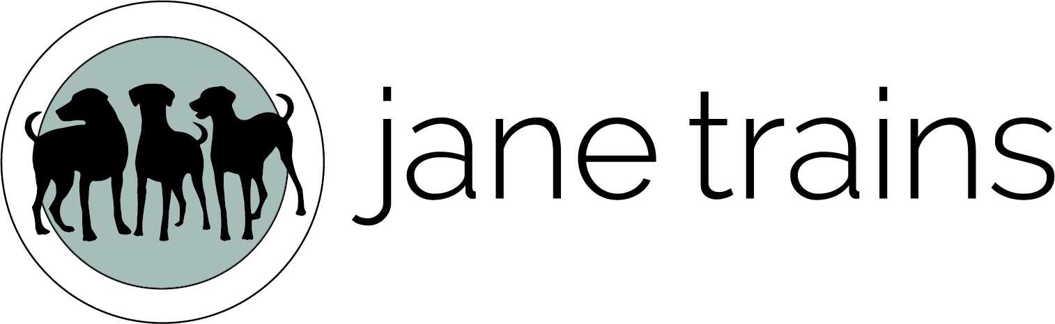Jane Trains logo