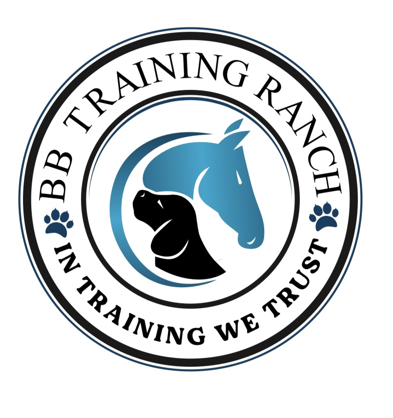 BB Training Ranch — dog trainer in Conroe, TX