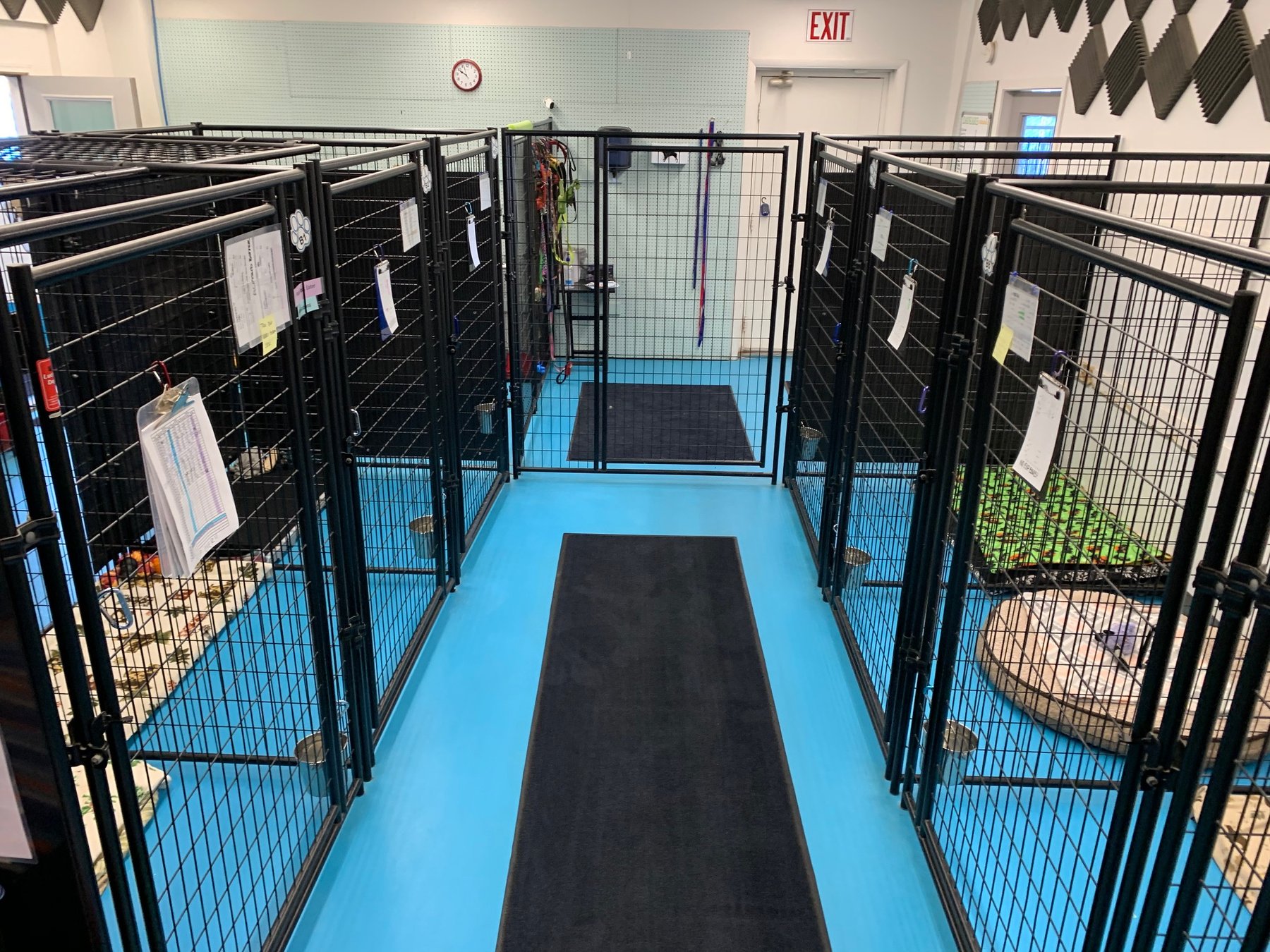 Tail Waggin Adventures Training Center