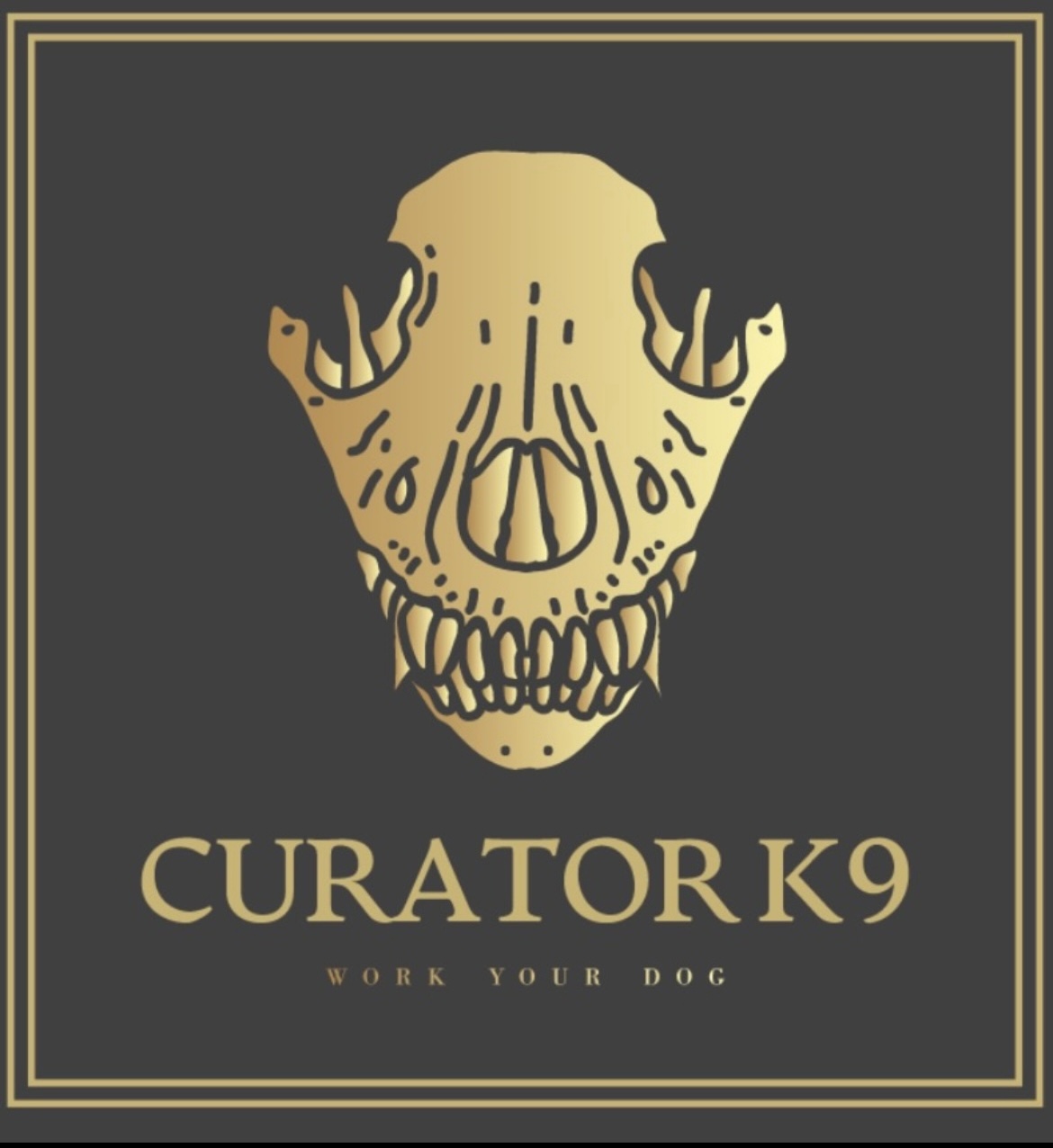 Curator K9