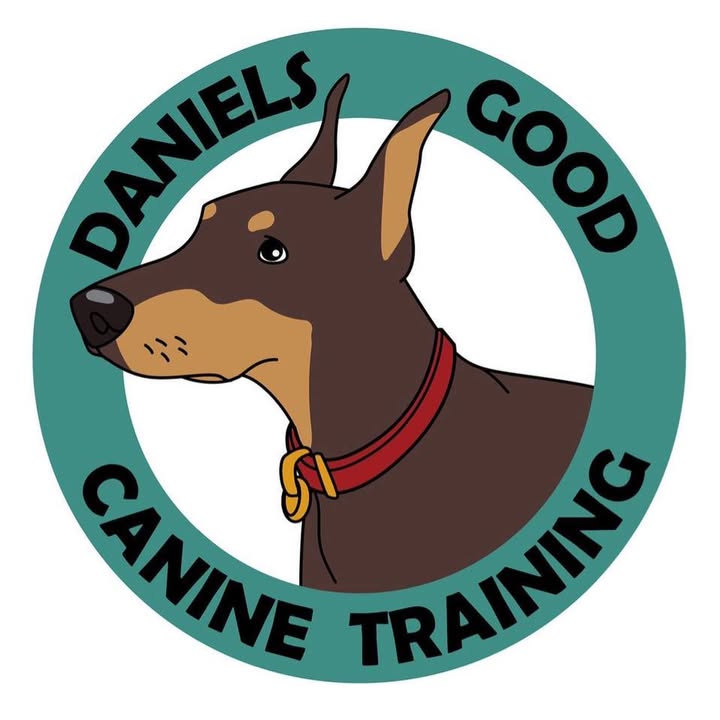Daniels good canine training