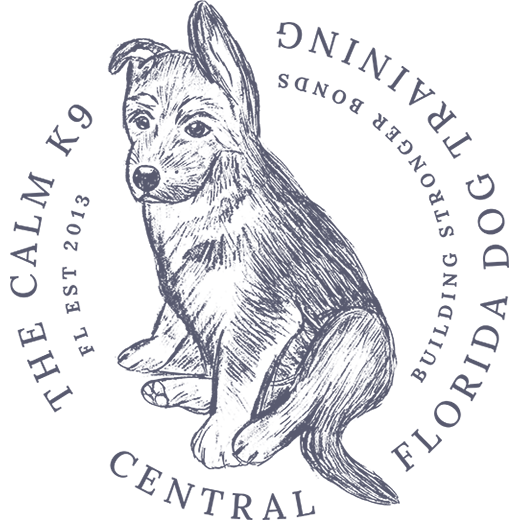 The Calm K9 logo