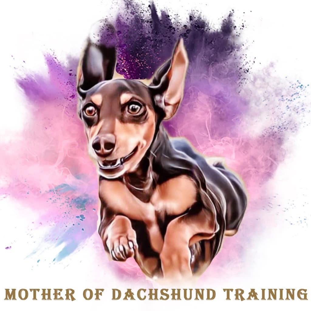 Mother of Dachshund Training LLC