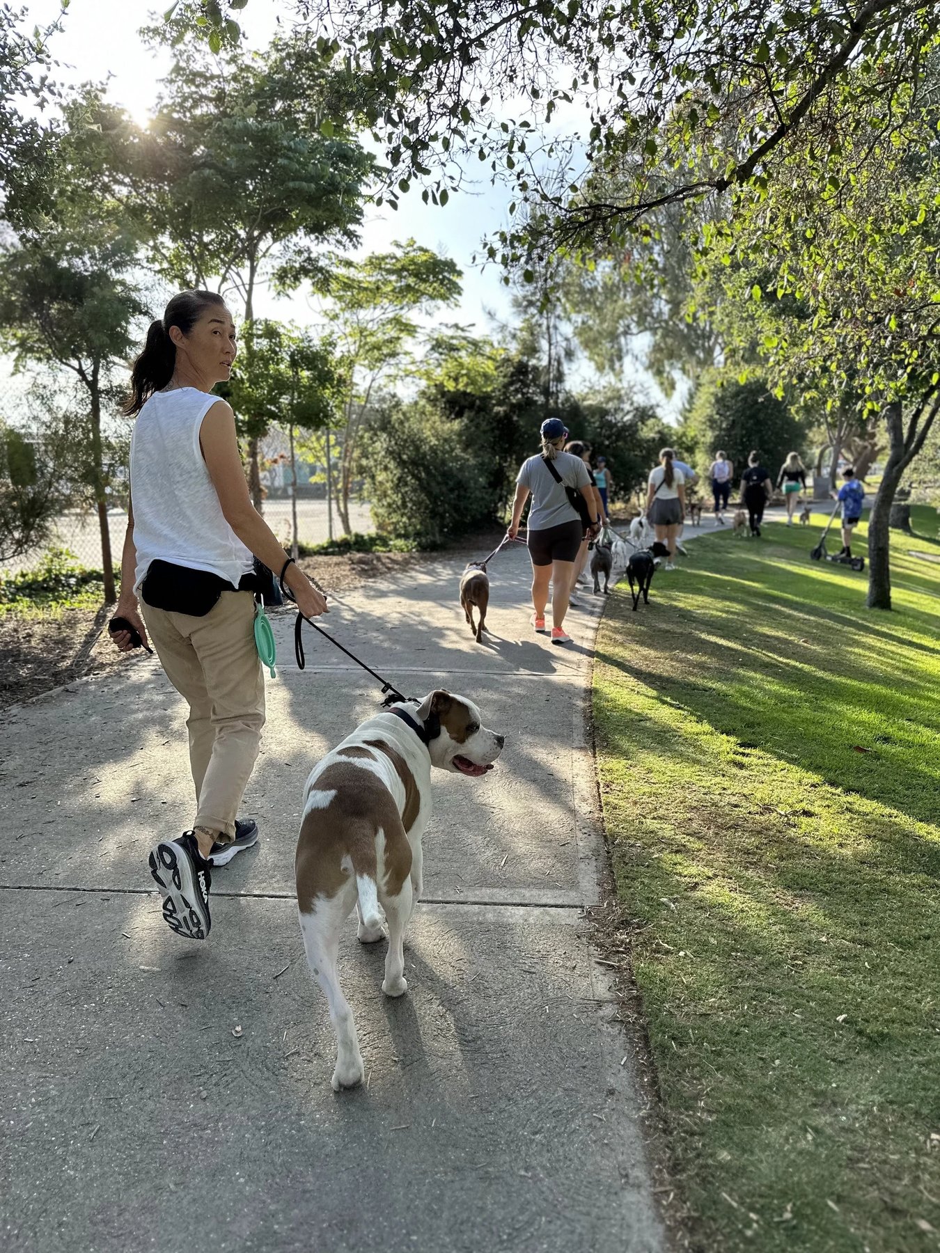 LARPBO Los Angeles Responsible Pit Bull Owners