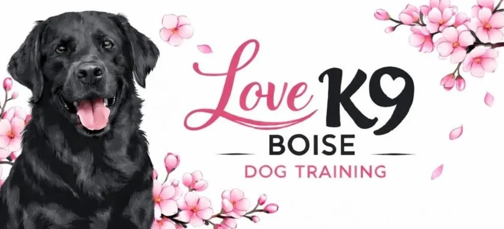 Love K9 Boise Dog Training