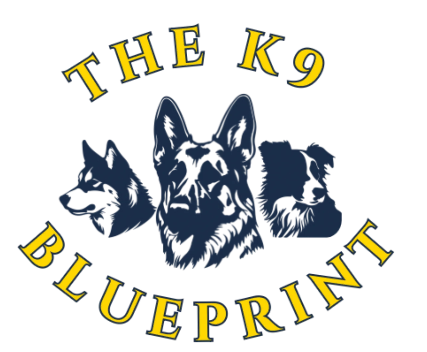 The K9 Blueprint — dog trainer in Spring Hill, FL