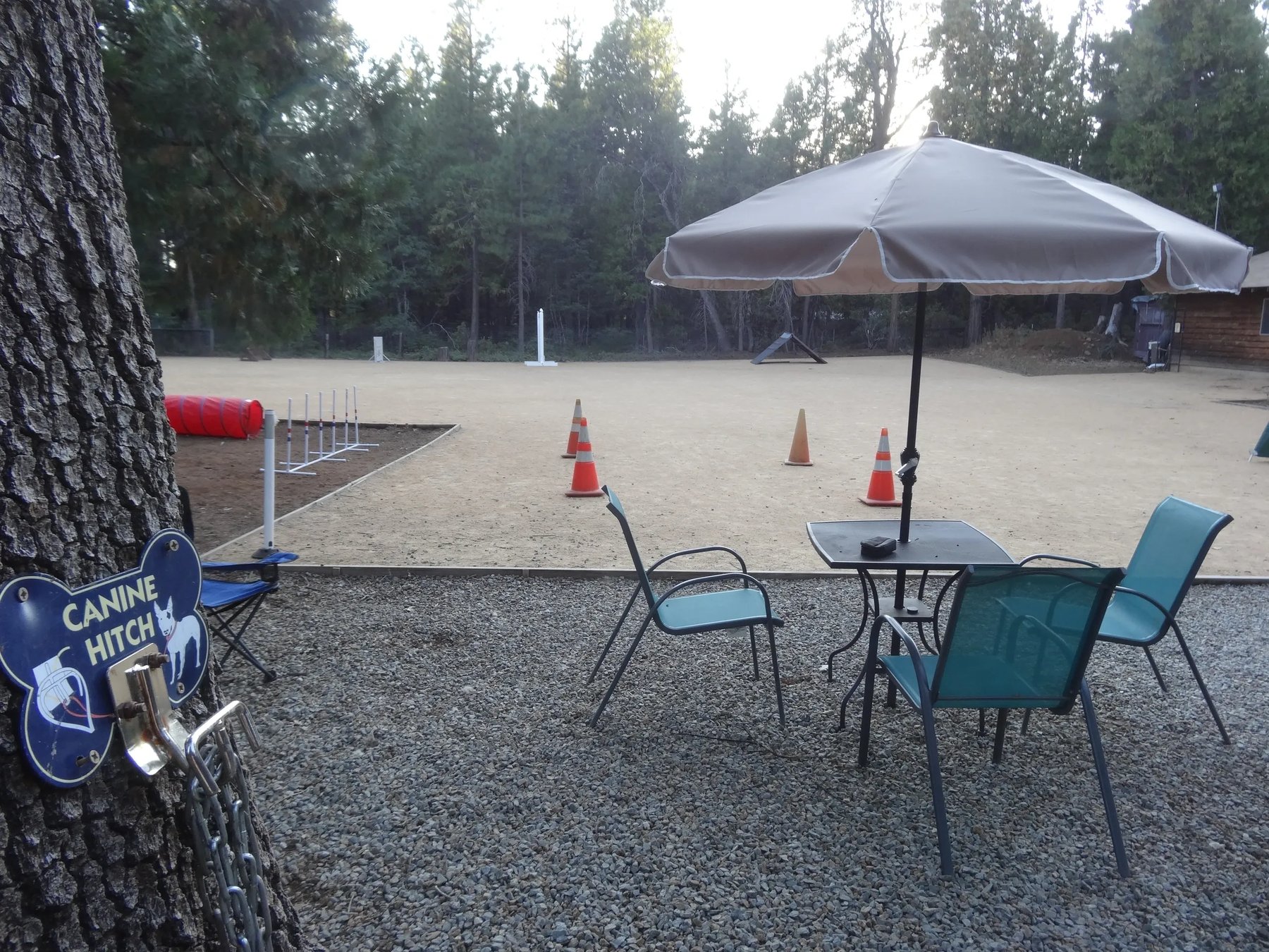Lower Lassen K-9 Training and Shasta Dog Training