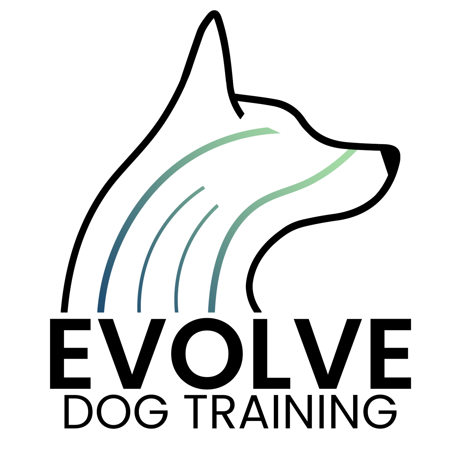 Evolve Dog Training logo