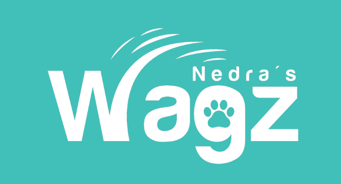Nedra's WAGZ LLC — dog trainer in Annapolis, MD