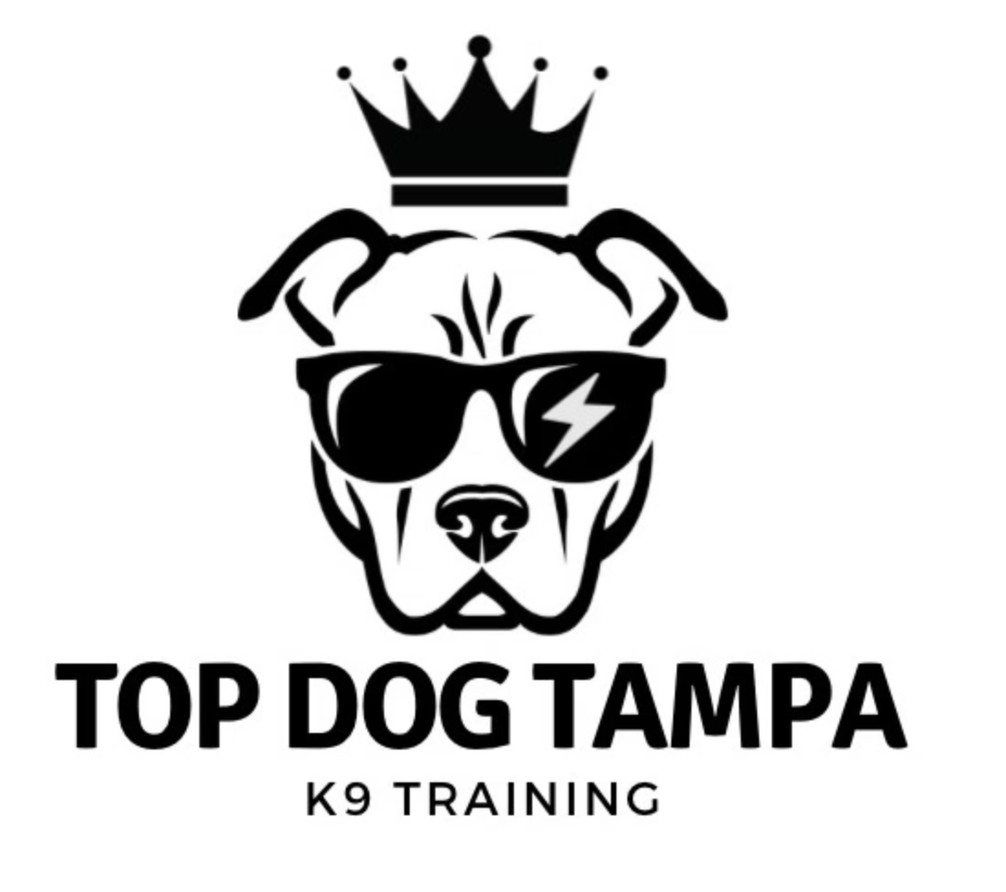 Top Dog Tampa — dog trainer in Tampa, FL