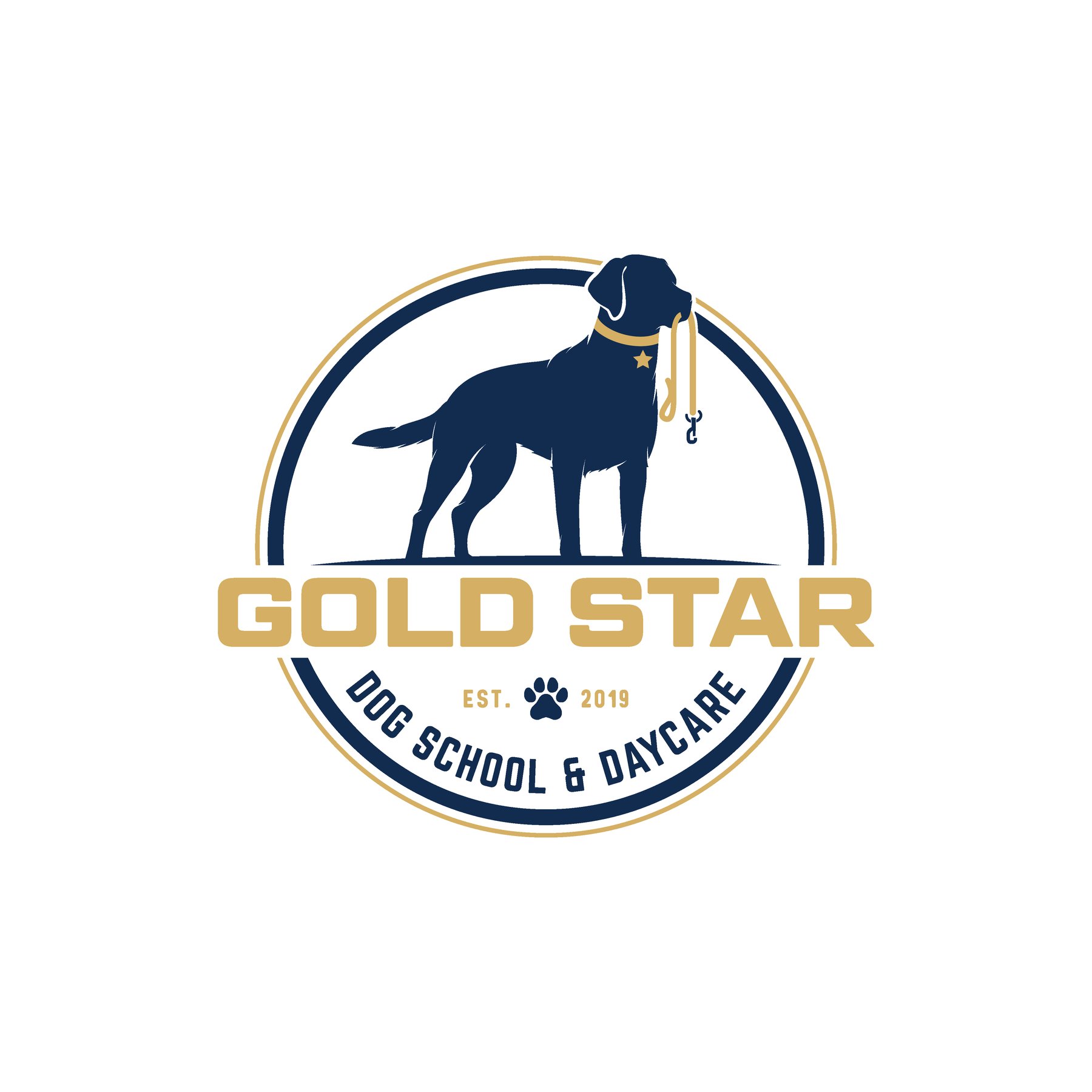 Gold Star Dog School