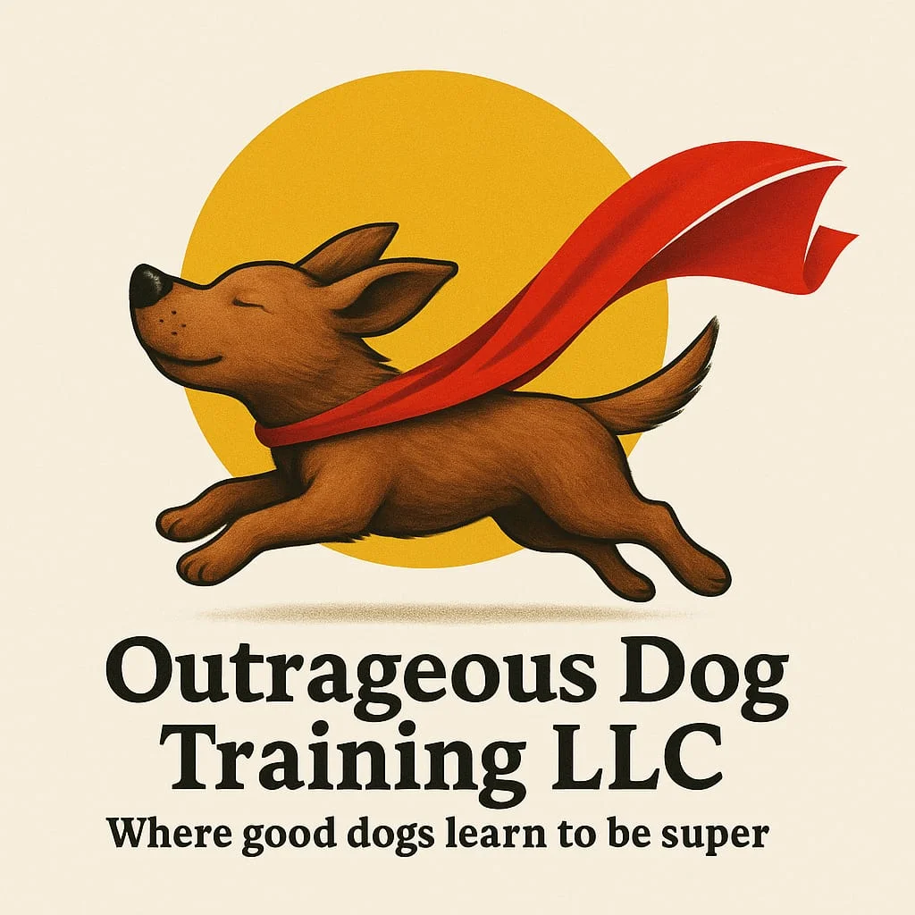 Outrageous Dog Training