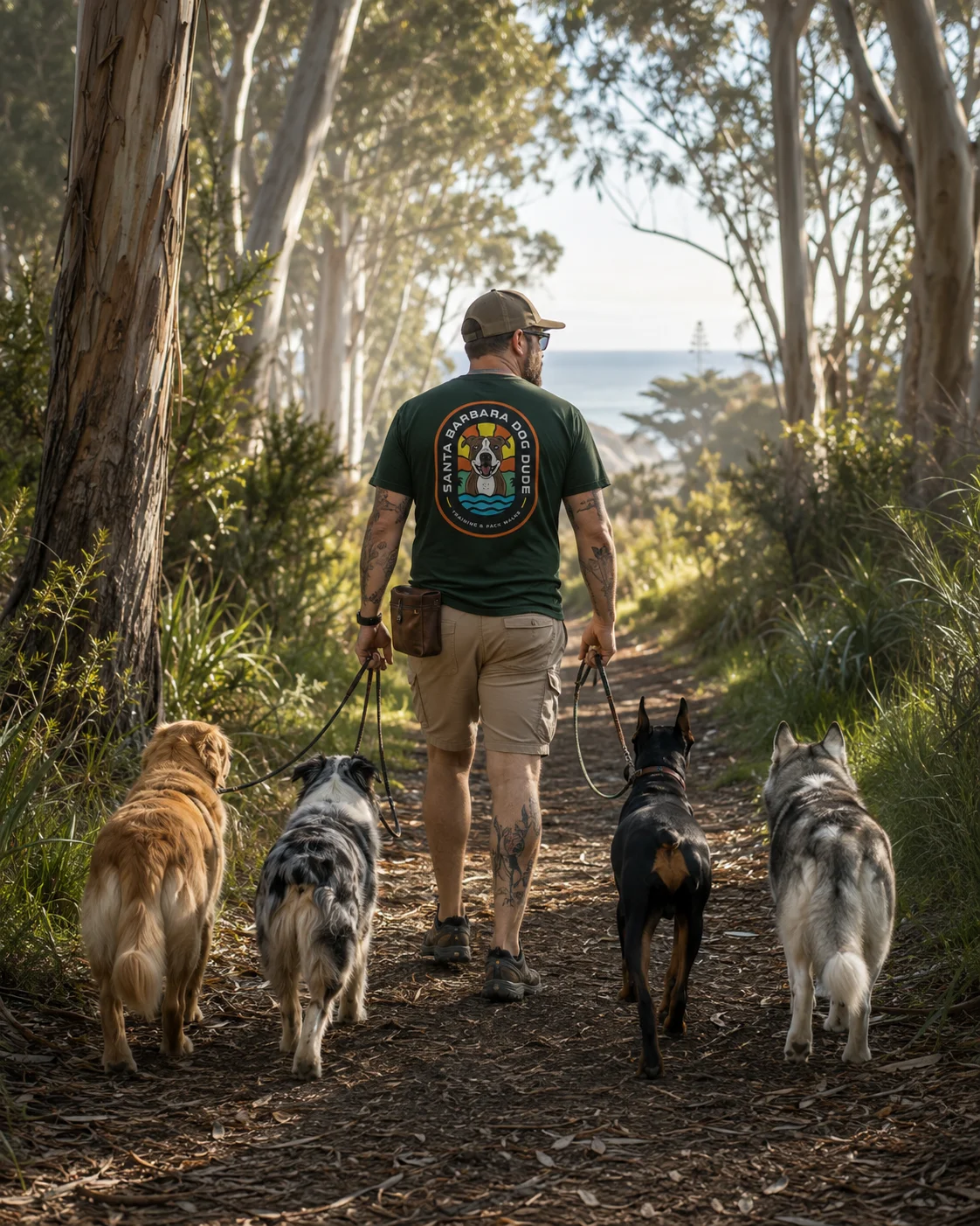 Santa Barbara Dog Dude — dog trainer in Santa Barbara, CA