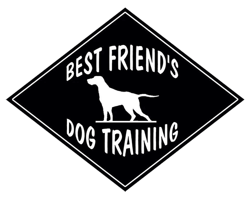 Best Friends Dog Training — dog trainer in Naples, FL