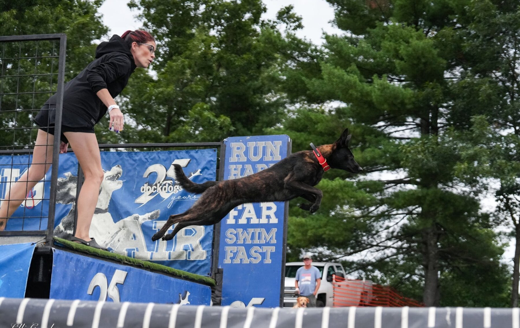 Truly Balanced Dog Care