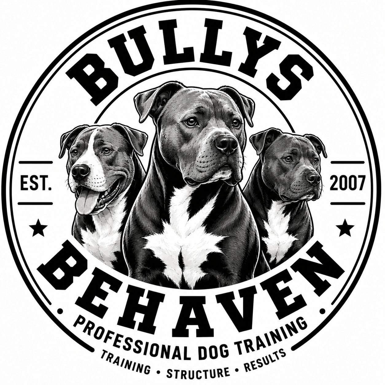 Bullys Behaven Professional Dog Training and Behavior Modification