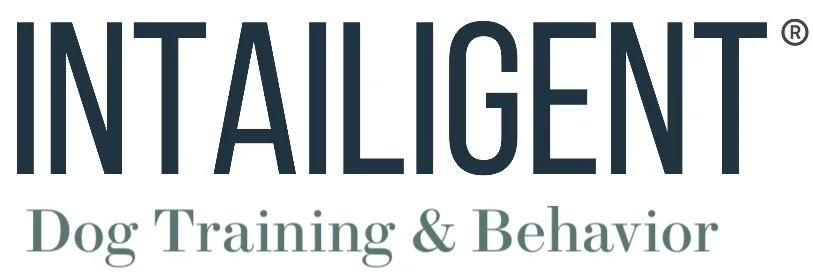 Intailigent Dog Training and Behavior